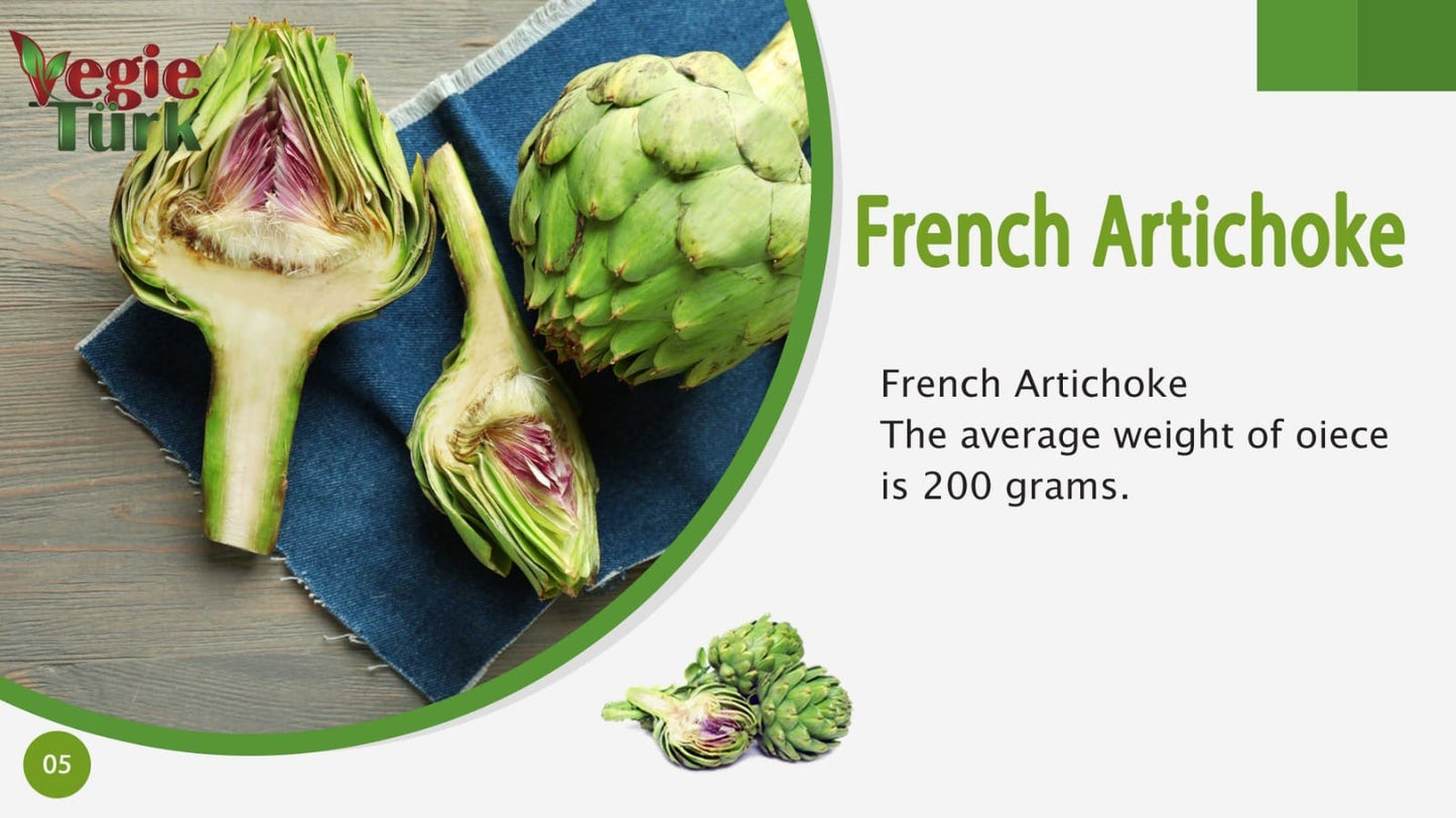 Fresh Artichoke