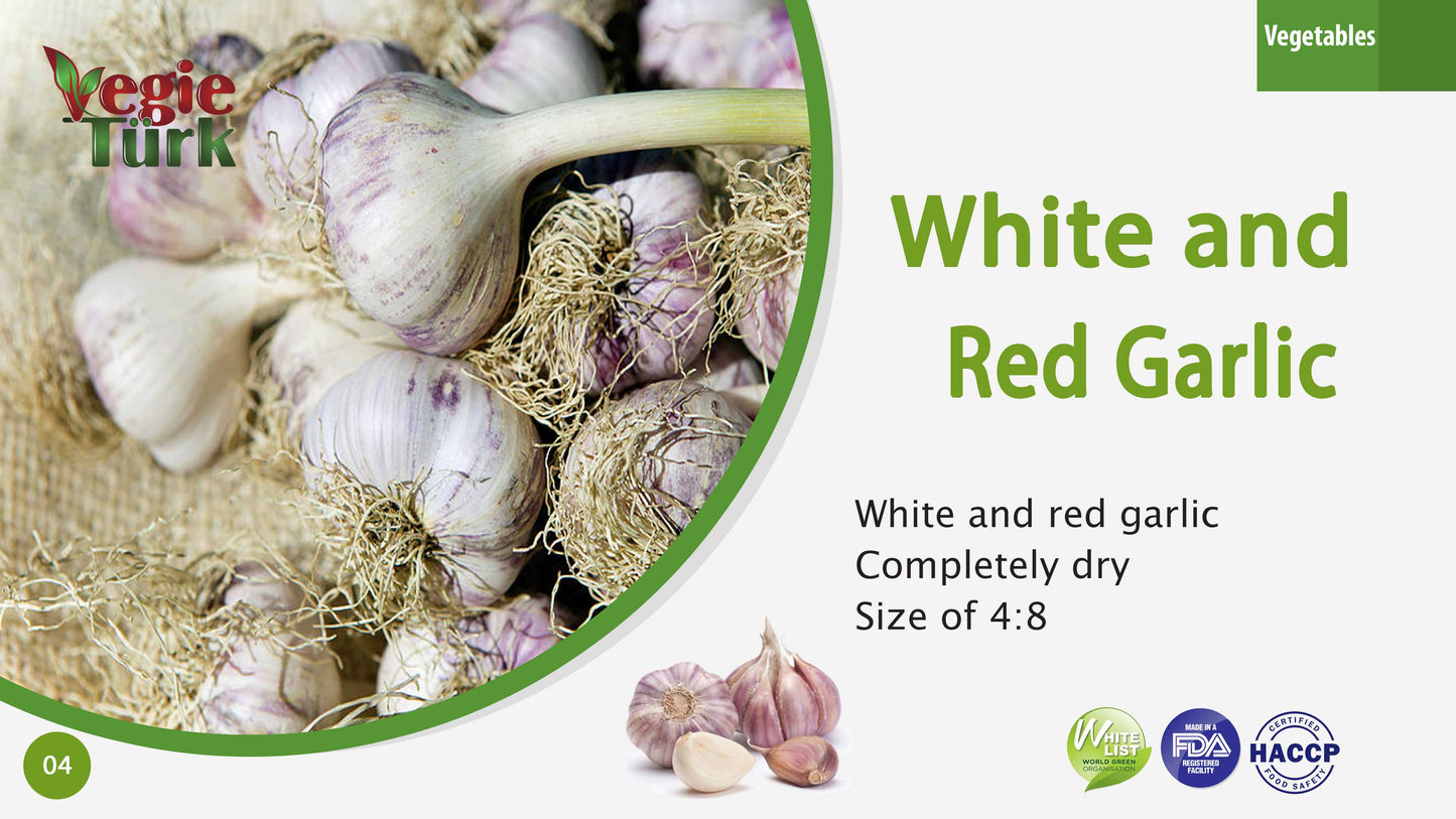 Fresh White and Red Garlic