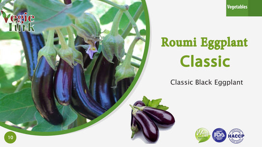 Fresh Roumi Eggplant