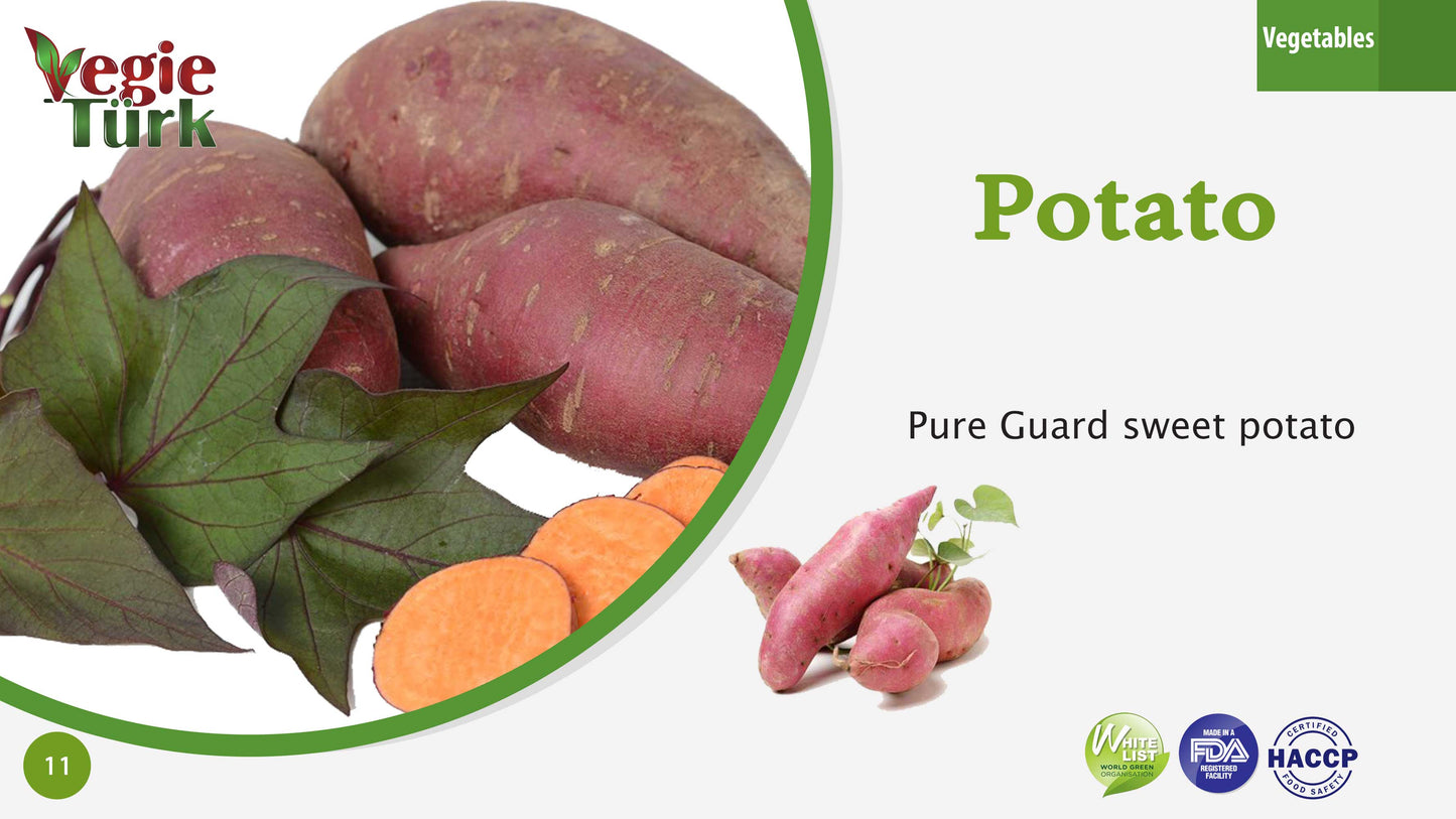 Fresh Sweet Potato