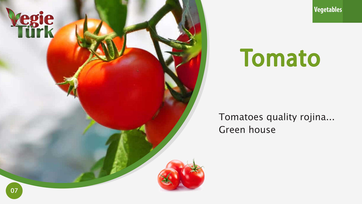 Fresh Tomatos